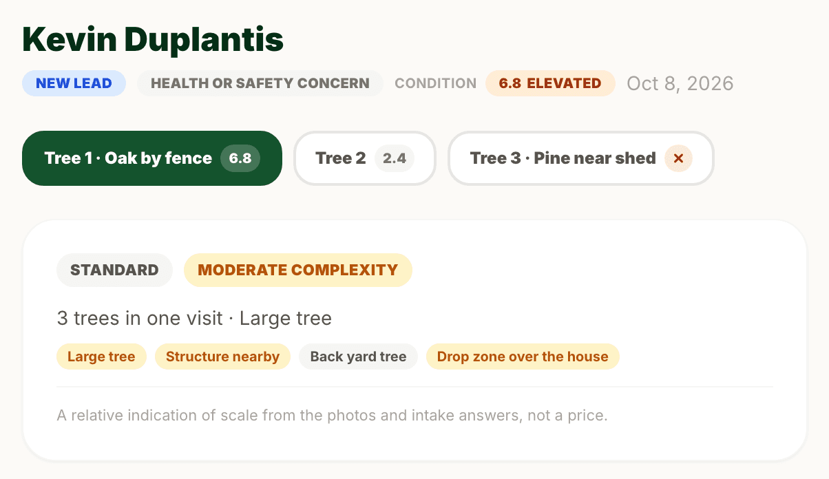 ArborScout job with three trees from one customer shown as tabs, each with its own condition score, and a summary reading 3 trees in one visit