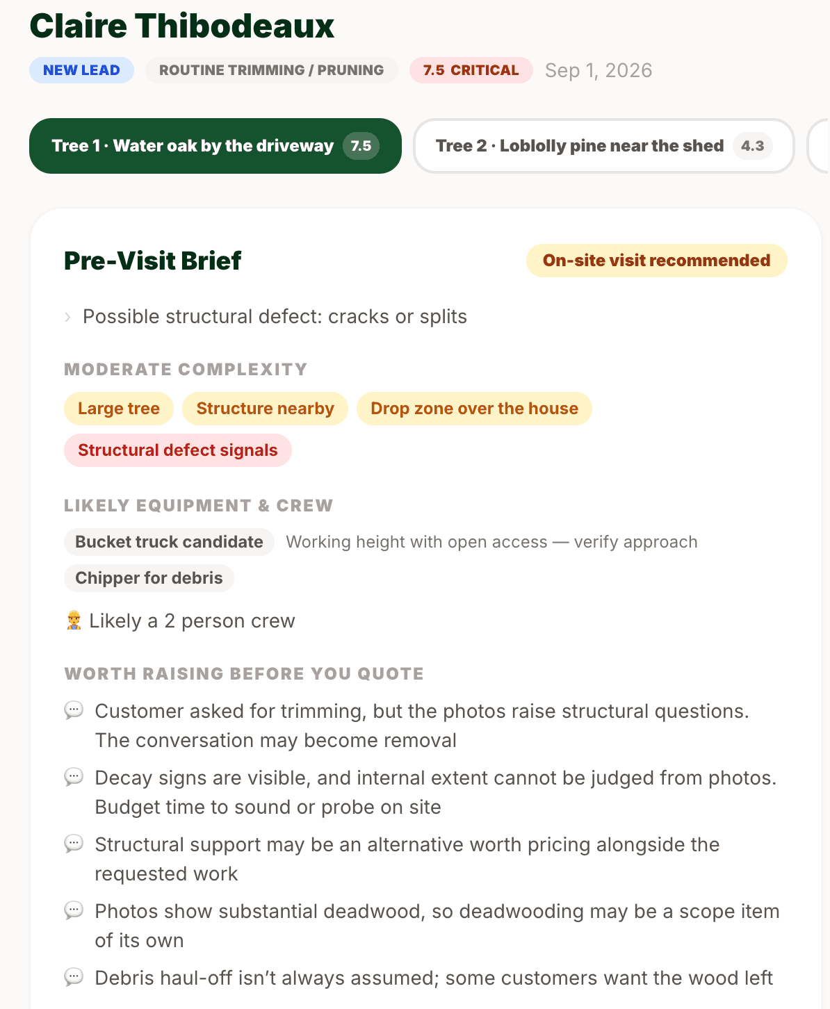 Pre-visit brief for one tree of a multi-tree job, showing the tree switcher, an on-site-visit-recommended verdict, complexity factors, likely equipment and crew, and five scope questions worth raising before quoting
